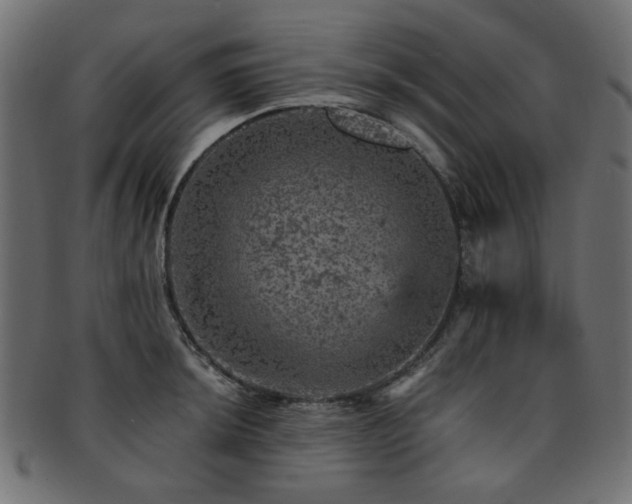 X0000093131044200709261344