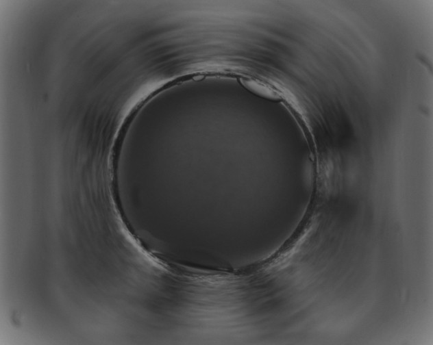 X0000093131045200709261344
