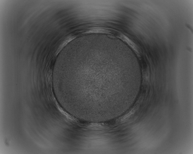 X0000093131049200709261344