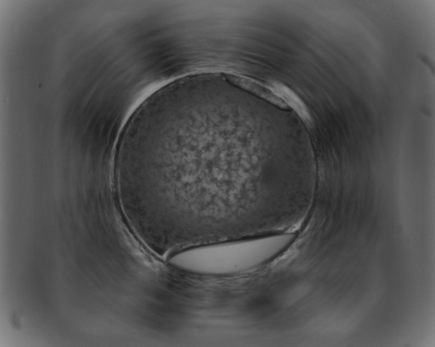 X0000093131052200709261344
