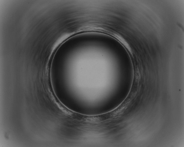 X0000093131053200709261344