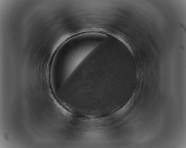 X0000093131054200709261344