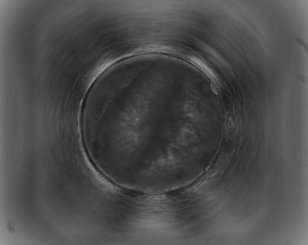 X0000093131055200709261344