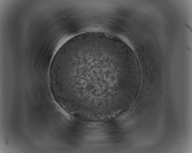 X0000093131056200709261344