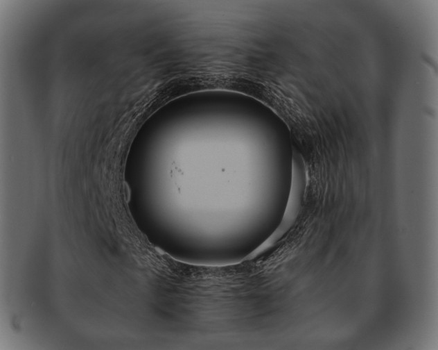 X0000093131057200709261343