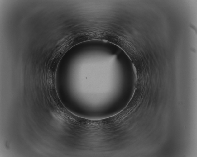 X0000093131058200709261343