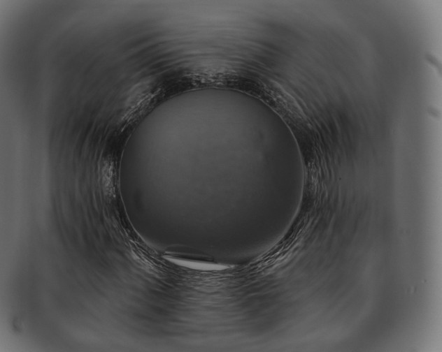 X0000093131060200709261343