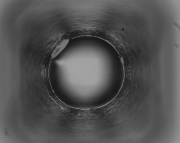 X0000093131061200709261343