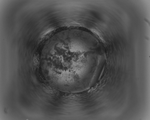 X0000093131063200709261343