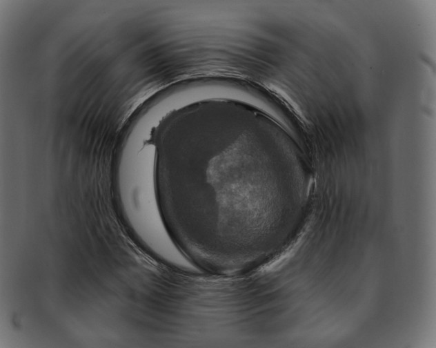 X0000093131065200709261343