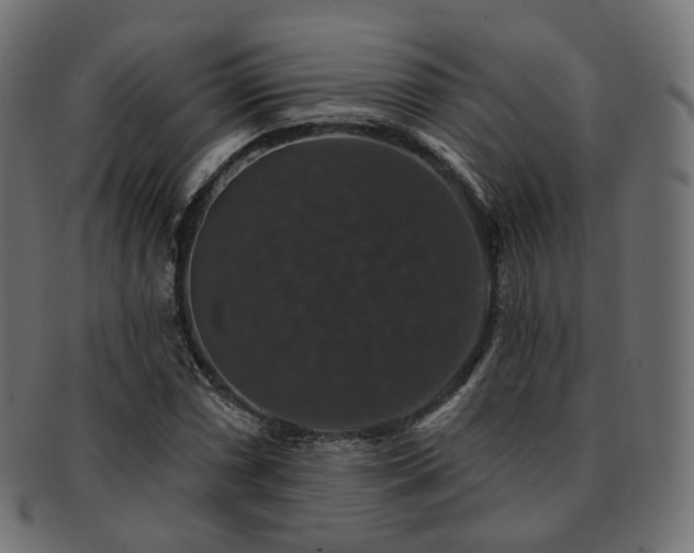 X0000093131066200709261343