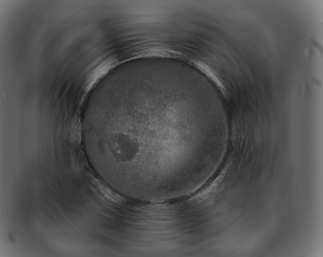X0000093131067200709261343