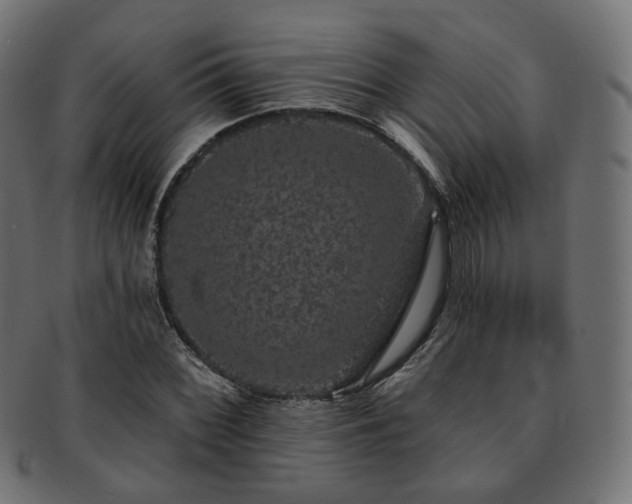 X0000093131068200709261343