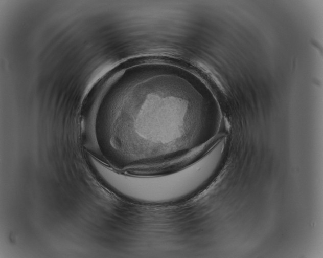 X0000093131069200709261343