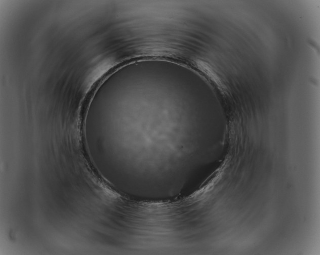 X0000093131071200709261343