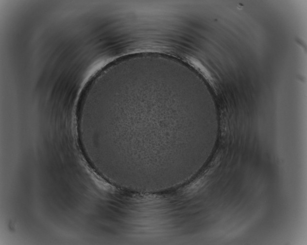 X0000093131072200709261343
