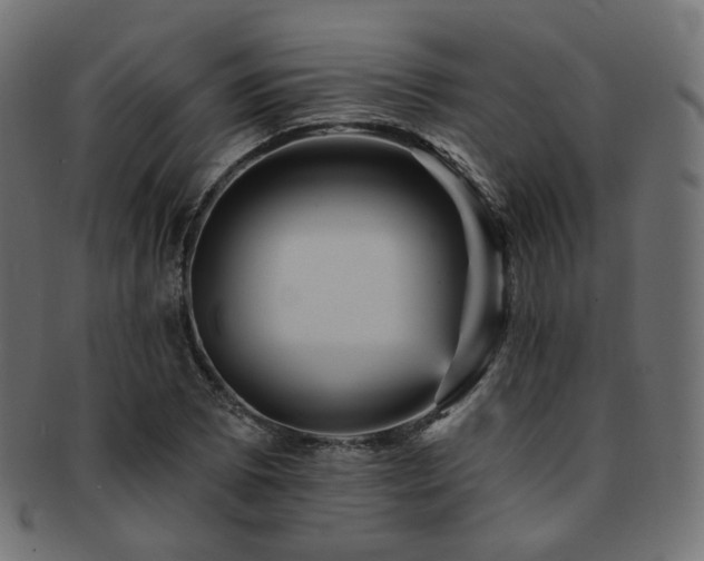 X0000093131073200709261343