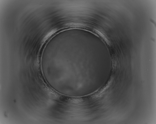 X0000093131074200709261343