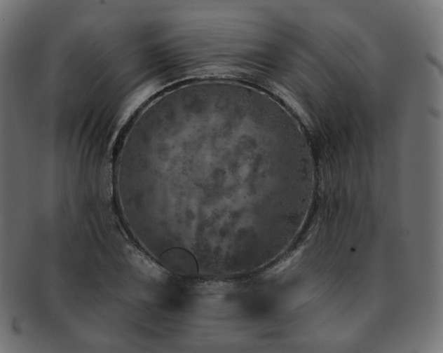 X0000093131075200709261343
