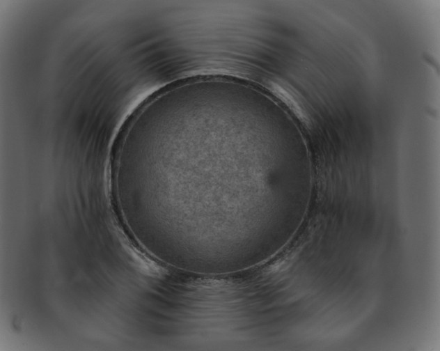X0000093131076200709261343