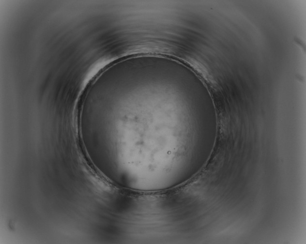 X0000093131078200709261343