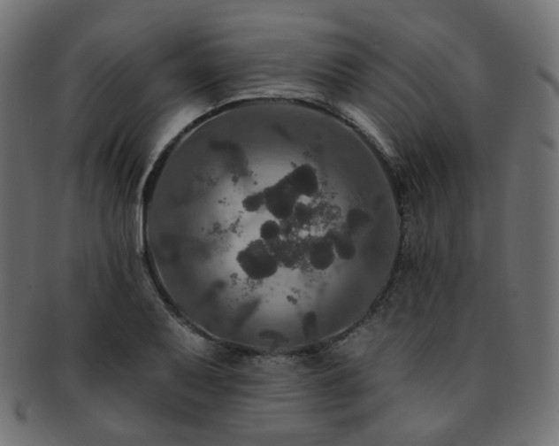X0000093131079200709261343