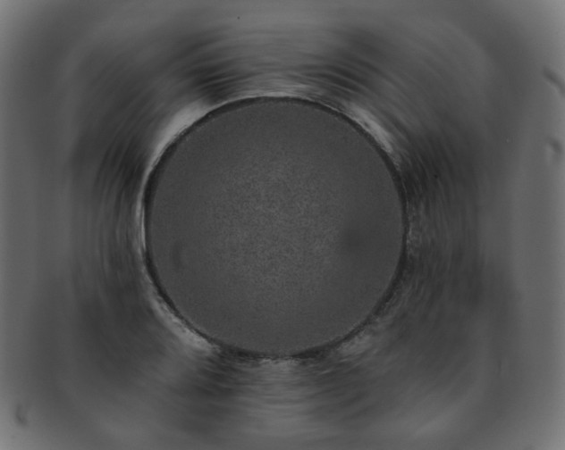 X0000093131080200709261343