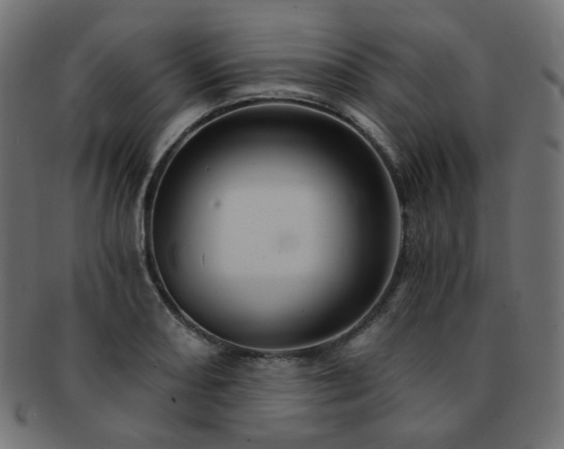 X0000093131082200709261343