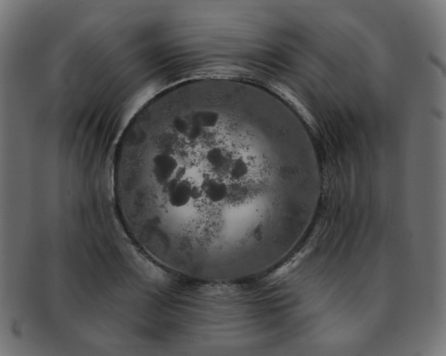 X0000093131083200709261343