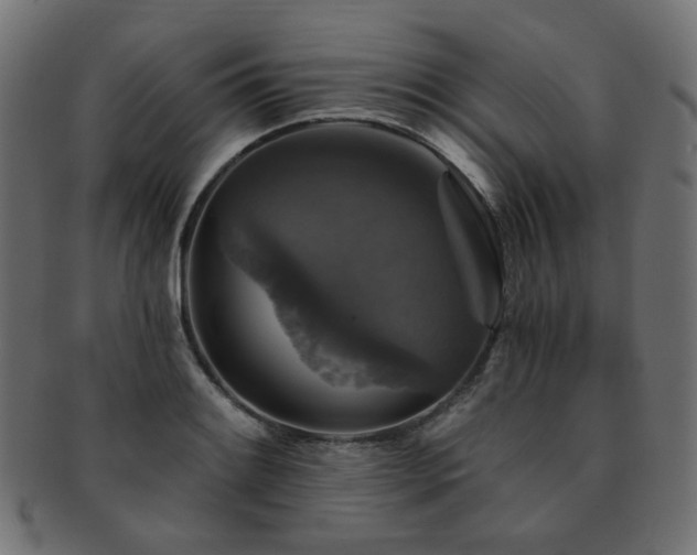X0000093131084200709261343