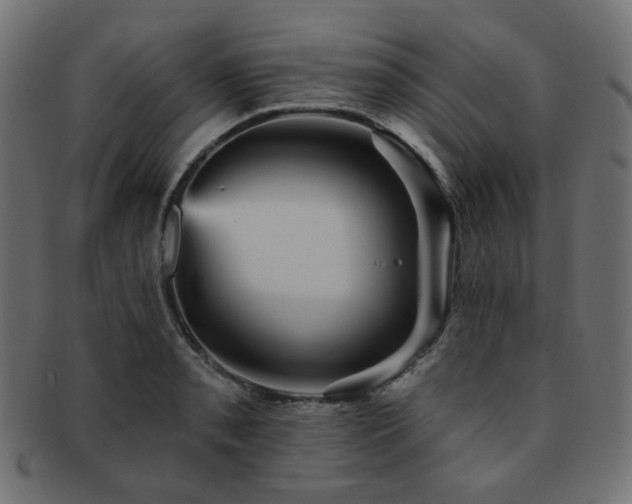 X0000093131085200709261343
