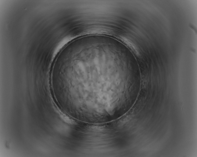 X0000093131086200709261343