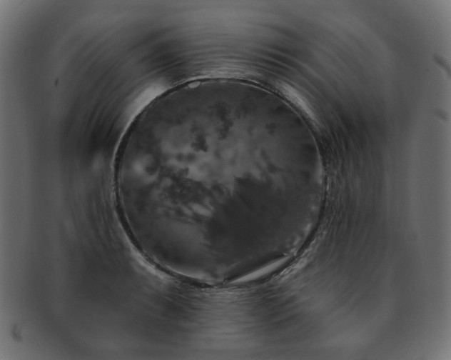 X0000093131087200709261343