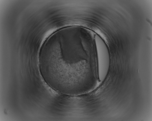 X0000093131088200709261343