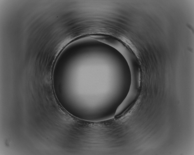 X0000093131089200709261343