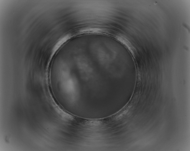 X0000093131090200709261343