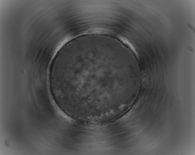 X0000093131091200709261343