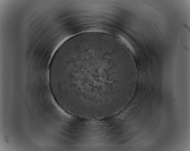 X0000093131092200709261343
