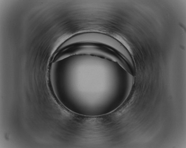 X0000093131093200709261343