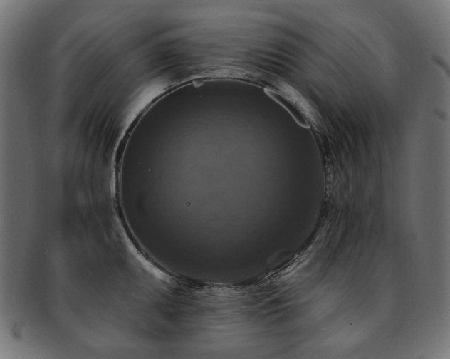 X0000093131095200709261343