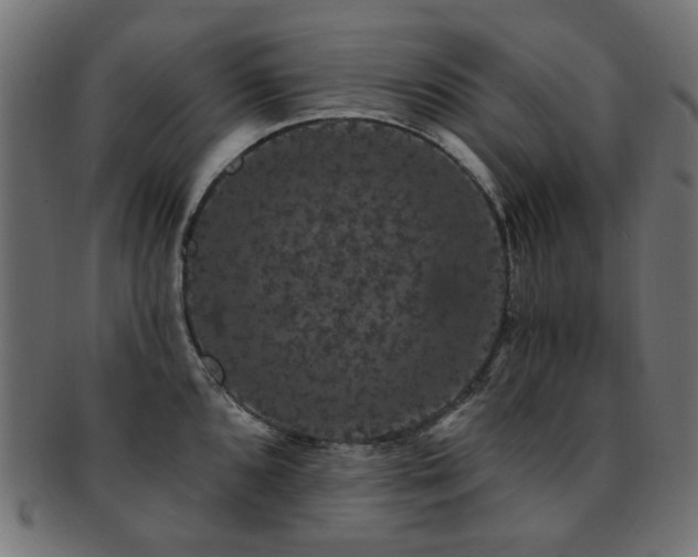 X0000093131096200709261343