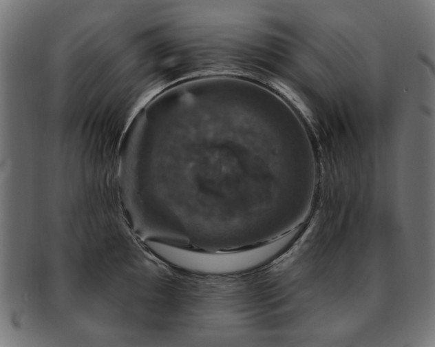X0000093131097200709261343