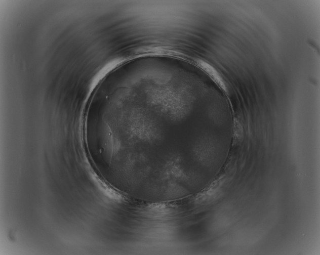 X0000093131098200709261343