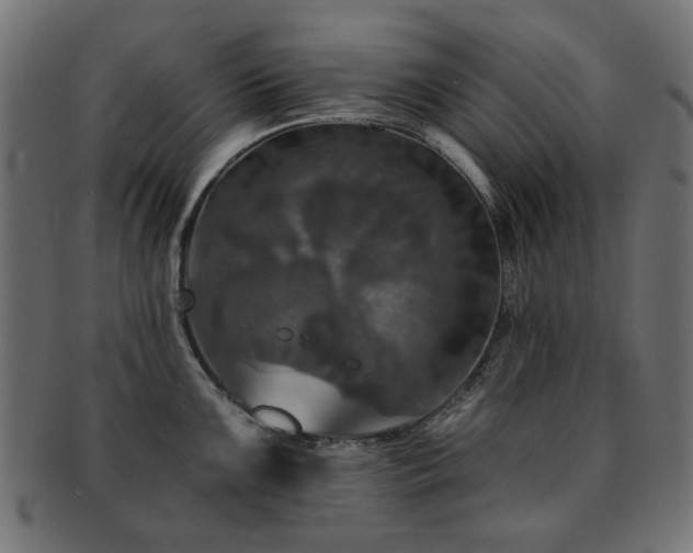 X0000093131099200709261343