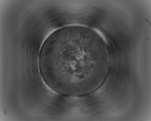 X0000093131100200709261343