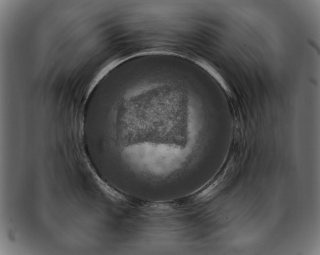 X0000093131101200709261343