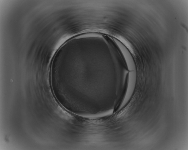 X0000093131102200709261343