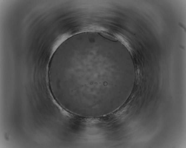X0000093131103200709261343