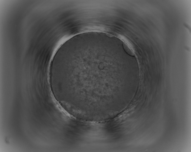 X0000093131104200709261343