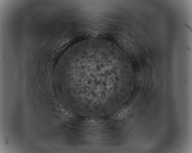 X0000093131105200709261342